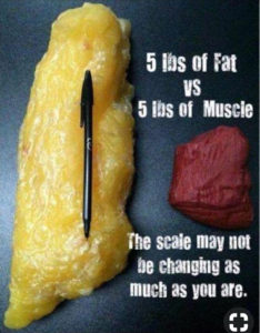Difference between 5lbs of fat vs 5lbs of muscle